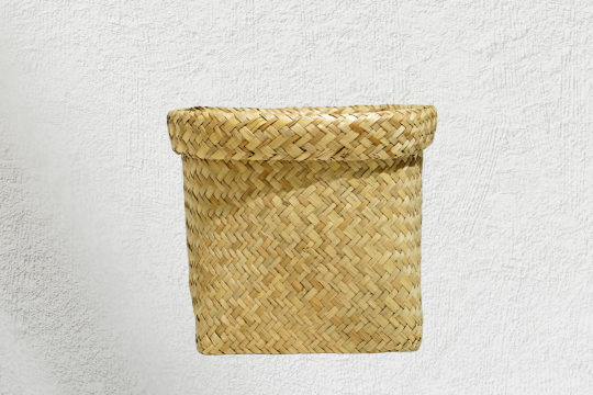 CHẬU CÓI