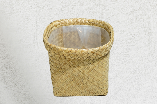CHẬU CÓI