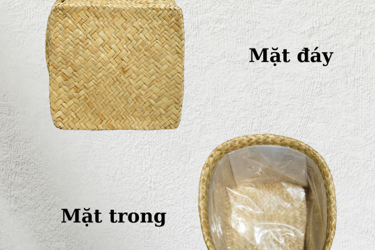 CHẬU CÓI